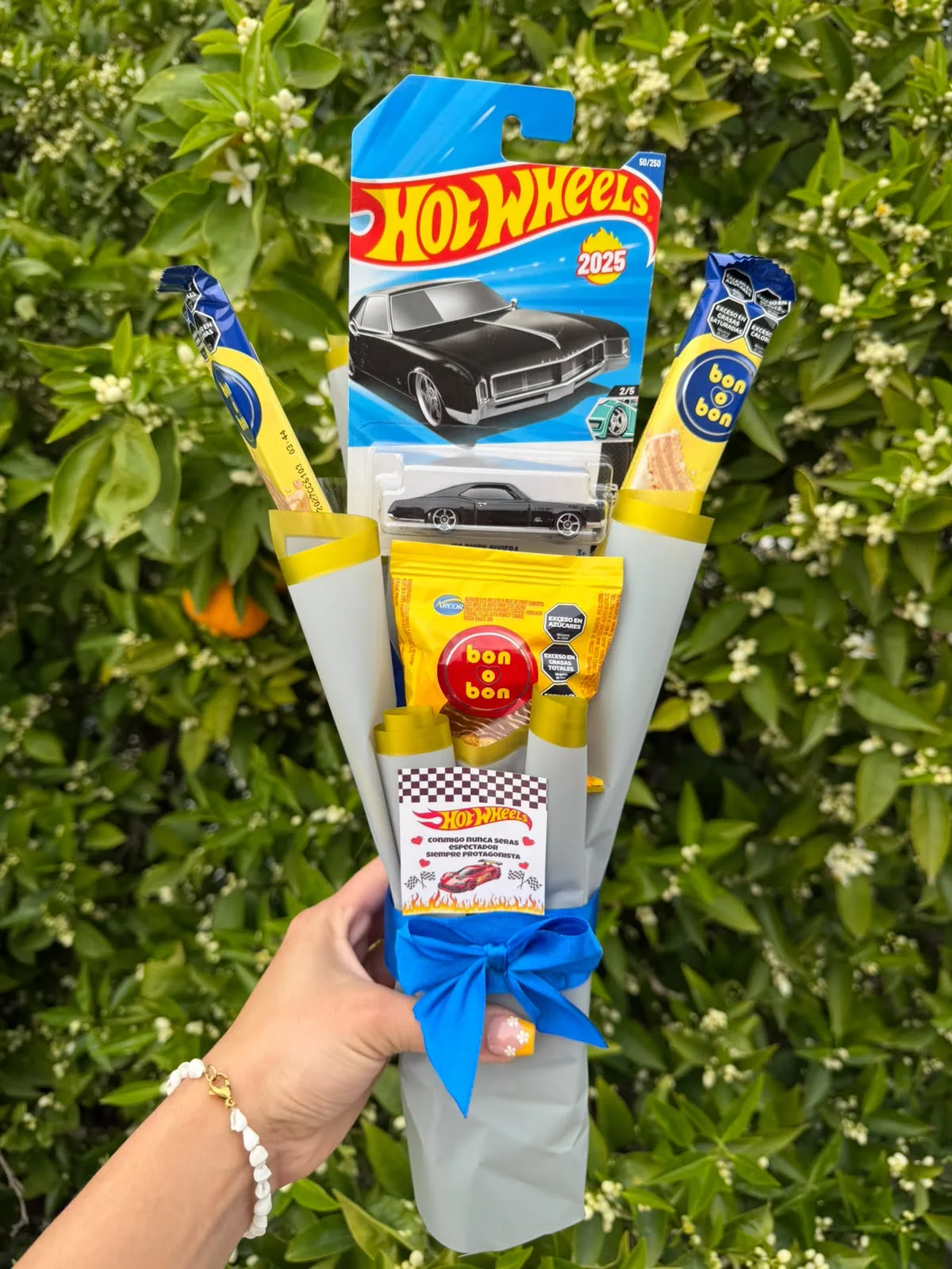 Ramo Hot Wheels