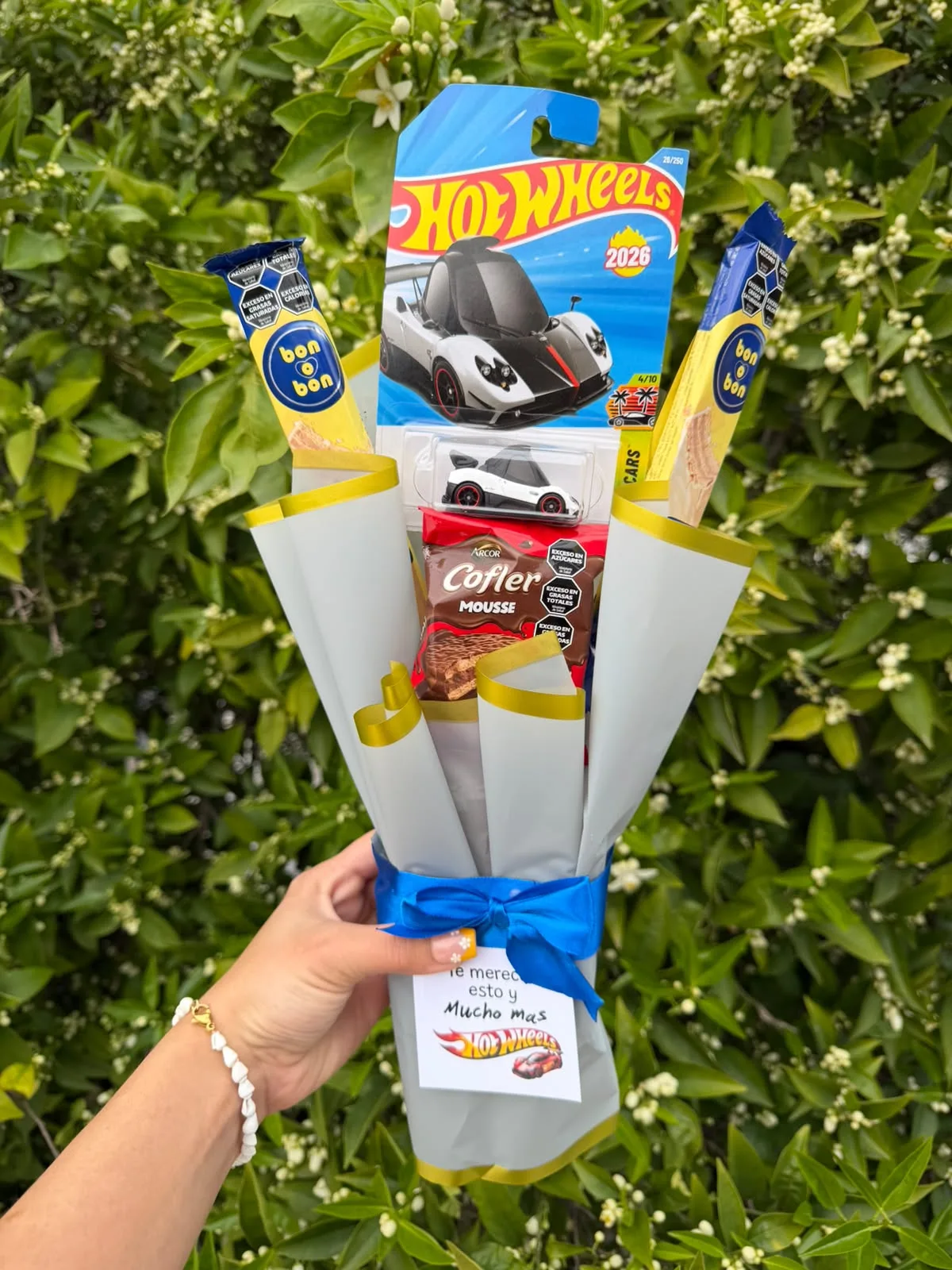 Ramo Hot Wheels